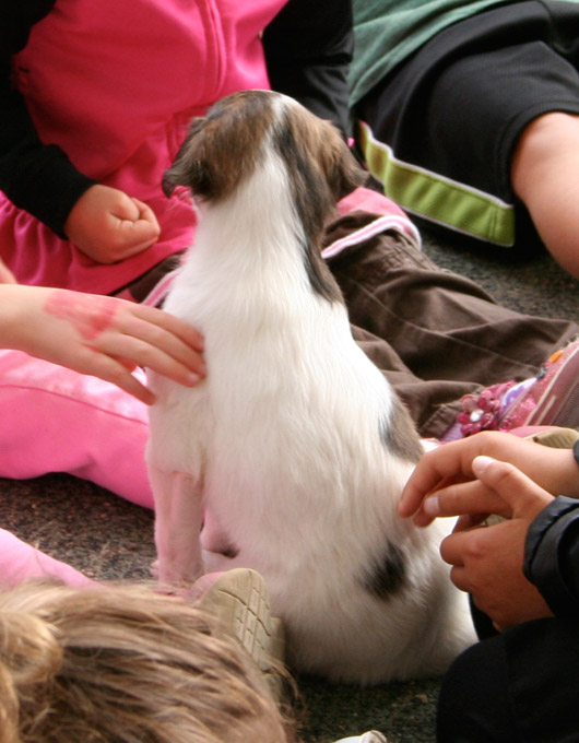 Surf Spots - Boy 1 in Kid Central